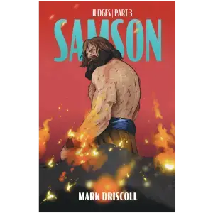 Judges Part 3: Samson Study Guide