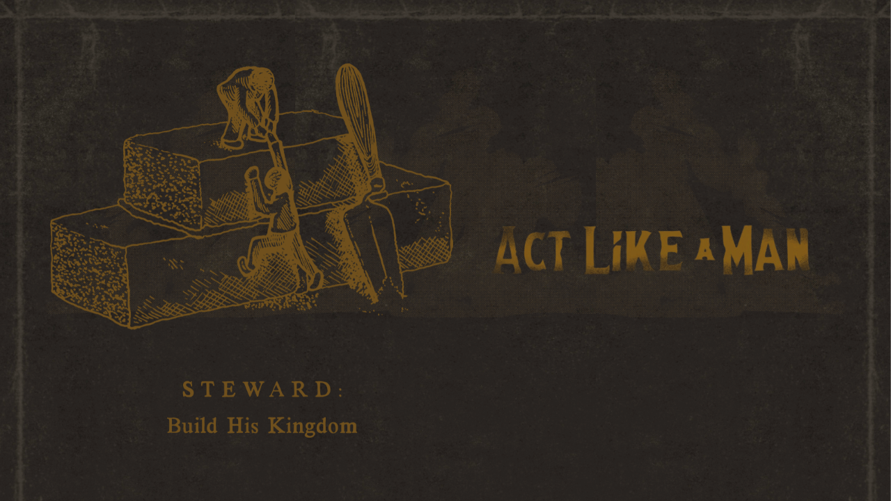 STEWARD: Build His Kingdom