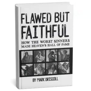 Flawed but Faithful
